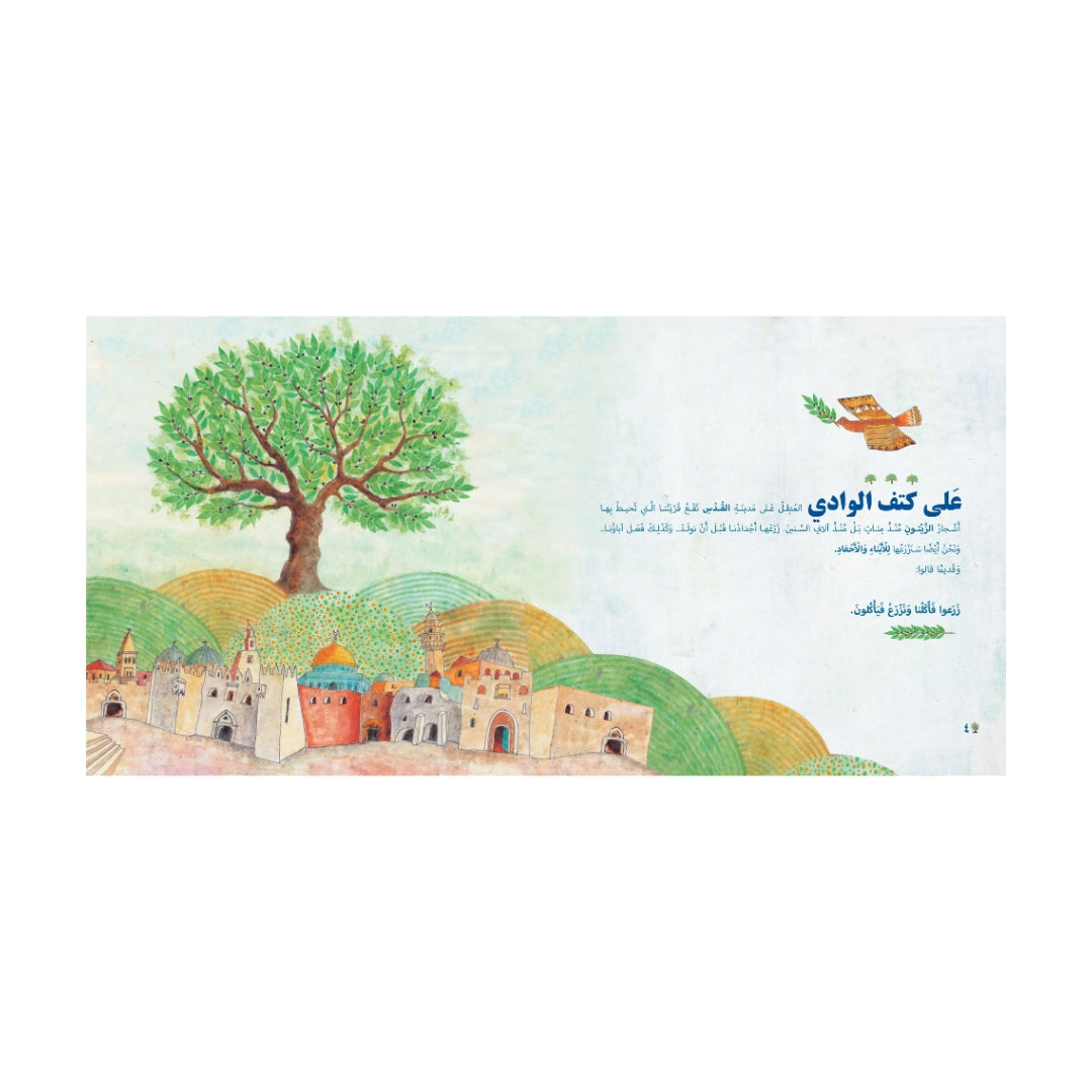 زيتونة على كتف الوادي - An olive on the edge of the valley