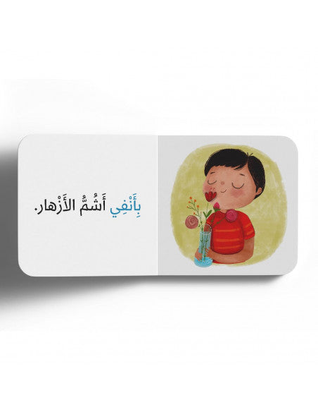 الشم | Smell