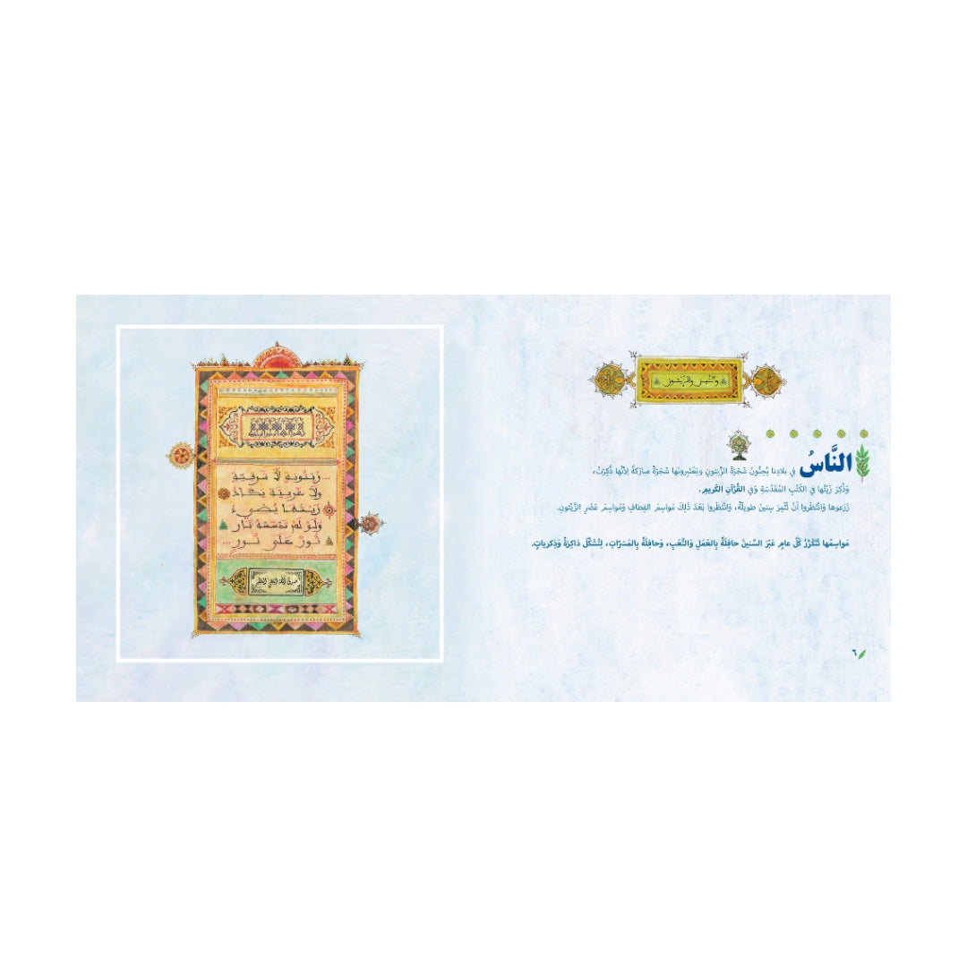 زيتونة على كتف الوادي  - An olive on the edge of the valley